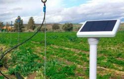 Agricultura inteligente Agricultura inteligente