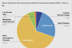Gráfico 2: Destino del presupuesto de salud 2024