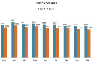 Gráfico 1: Partos por mes
